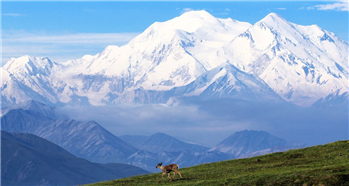 &quot;Where Can You Buy Powerball Tickets In Montana